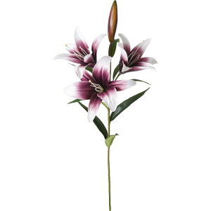 �|�s�[ �X�|�b�e�B���O�����[�X�v���[ FA -7318DPU 1�{