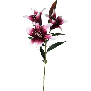 �|�s�[ �X�|�b�e�B���O�����[�X�v���[ FA -7318DBY 1�{