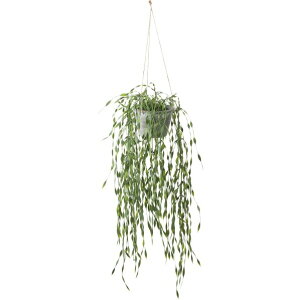 �|�s�[ �|���V���X�t���X�r�[ GLA-1530GR 1��