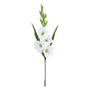 �|�s�[ �T�e���O���W�I���X FA -7316W 1�{