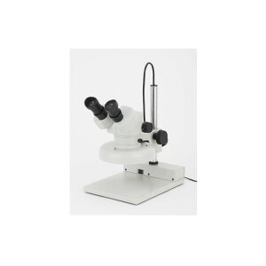 J[gw ǒDSZ|44PF15|260 x[XW×D dR[h܂܂:220mm×284mm MS45821526 1
