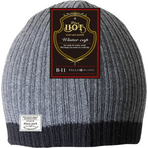 ӂ CjbgX J[:O[×ubN TCY:t[ B-11 1