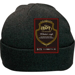 ӂ b`n_u() TCY:t[ B-73 1