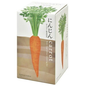 V| ؍͔|Zbg ɂ񂶂 GD-89102 1