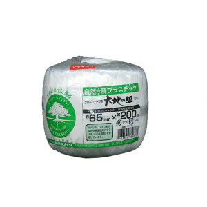 ^JCN ^JCN בR N[e[v 65mm×200m M-170 1