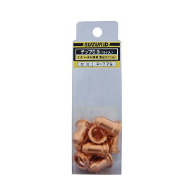 スズキッド APC-40用0.9φチップ P-779 10個