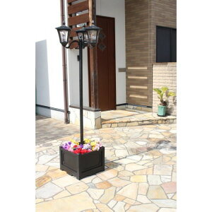 J lpv^[t\[[Cg 3 TAN-793-3 1