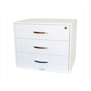 ACE(cG[X) G[XL[{bNX H402×W475×D380mm zCg D-300N 1