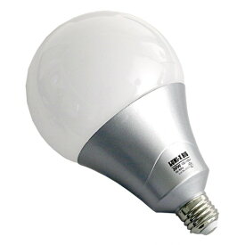 CONNECT LUMI-X BIG LED電球 30W 約198mm LED-30LX 1個