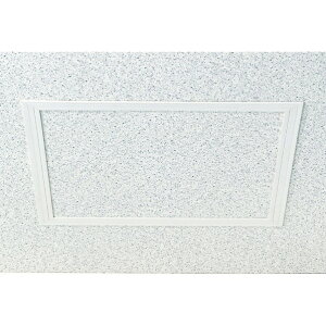 �t�N�r���w�H�� �_�����g T-125N 450×450mm(�J�����@500×500mm) �I�t�z���C�g T12N45 421-475 25��