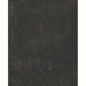 ACJH ~sRϔZ[Zg 3x8 [NX^(_[N) CFNZ10299ZD 2