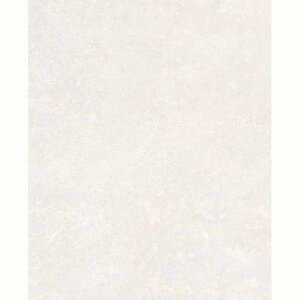 ACJH ~sRϔZ[Zg 3x8 N`RN[g(Xm[ zCg) CFNZ10301ZN 2