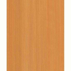 ACJH Z[~sRϔ(ؕ) 3x8 WtB[o[`(~fBA) FJ-2011ZJN67 2