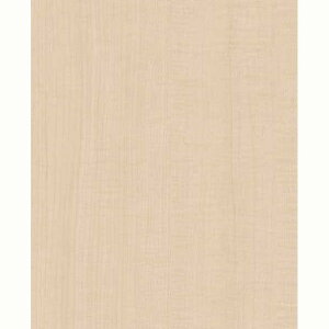 ACJH Z[~sRϔ(ؕ) 3x8 JV~[v(zCg) FJ-421ZN 2