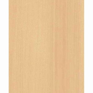 �A�C�J�H�� �Z���[�� 3x8 FTN 2070ZN 2��