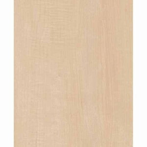 �A�C�J�H�� �Z���[�� 3x8 FTN 2080ZN 2��