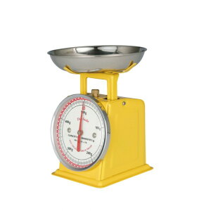 �_���g�� �_�C�G�b�g�X�P�[�� 500g �C�G���[ BSK8604 1��