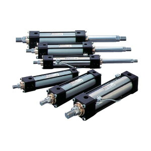 TAIYO �����V�����_ 100H-2R2CA40BB200-ABAH2-K 1�_