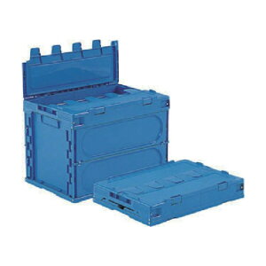 @lpiTR[ t^̌^܂肽݃Rei[ 555050 TNbgIR60B SK555050 1_