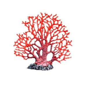 [XC [XC ZEST vJTS L-5 IWbh L-5 1