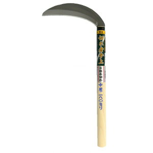 zEl~L ؂ҎQ Аn HS-021 1