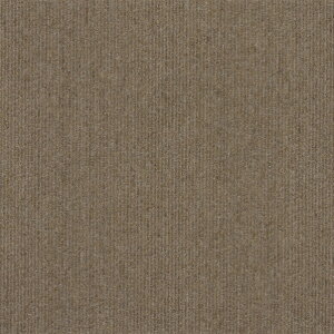 ���@�l��p�i���V���R�[�� �^�C���J�[�y�b�gTG-1000 50cm×50cm TG-1035 16��