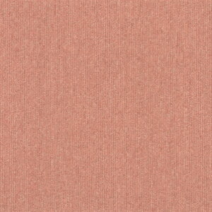 ���@�l��p�i���V���R�[�� �^�C���J�[�y�b�gTG-1000 50cm×50cm TG-1044 16��