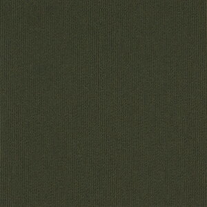 �V���R�[�� �^�C���J�[�y�b�gTG-1000 50cm×50cm TG-1067 16��