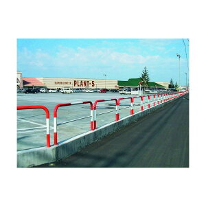 ϐ ZCteCpCv / xԊu=2000 H=800 TP-8P2-20R 1_