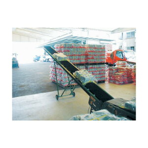 ���m�@�B�Y�� �E�B���`�r(KL�^�p) N55S 1�_