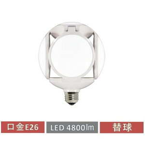 ALBA LED OPEN�����v �N���b�v�����v �֋� LED-40FL 1�y2506DFD_3�z
