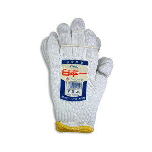 L^} gCAg {R a KT-600 12o