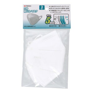 TAKAGI 立体防じんマスク 2枚【2506DFD_5】