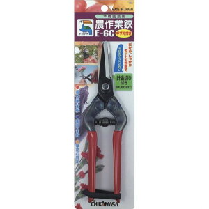 �ߐ� �{�E���|�p�_��������|�� E-6C 1��