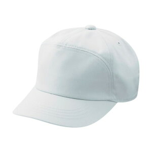 ~hS yALbv TC01 LL Vo[O[ TC01-LL 1_