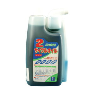 jbJ 2TCNICFDIC SS00074 1_