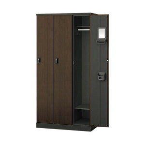 �i�C�L ���b�J�[(HLN�^) (3�l�p) (�`�F���W�L�[���^�C�v) HLN3MG-DW 1�_