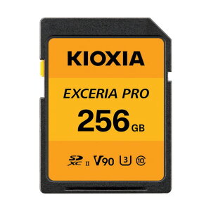 LINVA SDJ[h KSDXU-A256G 1