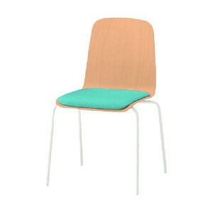 Cg[L mbg[Nw̃`FApbht wXeBbNr[`LErzCgEzn~Xgu[ KLL-120C-GHS5 1_