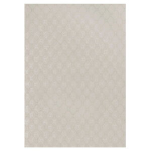 �A�C�J�H�� �I���e�B�m �o�X���[���E�����p�S���ܕt���σt�B���� 1,220mm��x1m �m�N�^�[��(�O���[�W��) VBQ18321C 1���[��