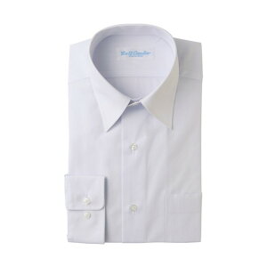 ACgX Jb^[Vc 47 182zCg 43101 1_