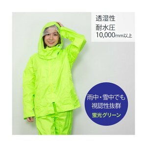  ƗpCEFA (uO[)3L OK4121-3L 1