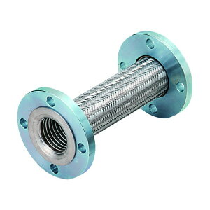 썑tLH WtWtLVuz[X(J[) tW(ډtSUS304) NK-3100/10K-SS400-65A-2000L 1{