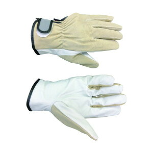 ~G[u ~G[u@j[NXg@M 23 x 10 x 3 cm