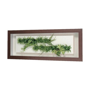 �i�C�L �l�H����(�Ǌ|) GR3083 1�_