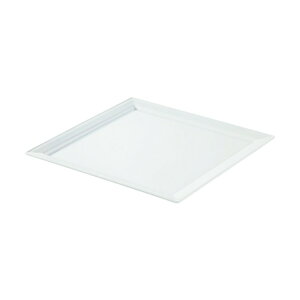 TKG �����H�� �X�N�G�A�v���[�g 30cm 617707 RLB5801 1��