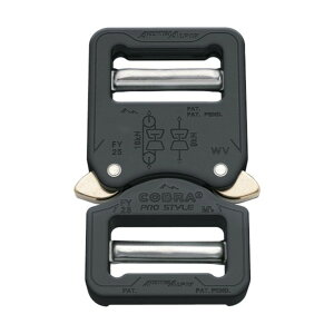 AUSTRIALPIN COBRA �o�b�N�� 25MM �u���b�N VV FY25KVV 1�_