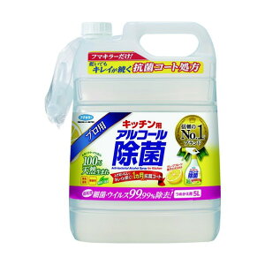 t}L[ t}L[@Lb`pAR[ۋlߑւp5L 178 x 214 x 299 mm 440683 1