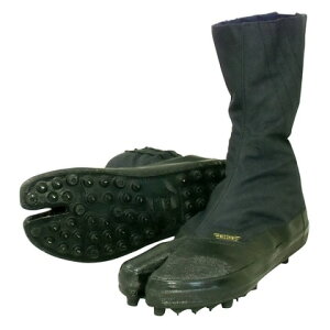 iS JSV[Y@8V@y8XpCN 26.5  8VXpCNn