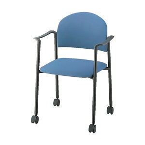 iCL pCv`FA[ rj[U[ E164BC-LGR 1_